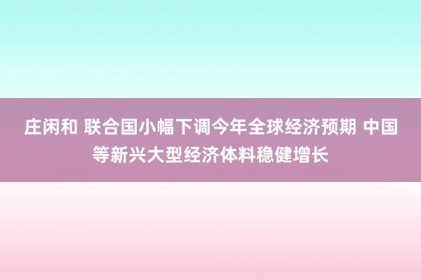 莊閑和 聯(lián)合國小幅下調(diào)今年全球經(jīng)濟(jì)預(yù)期 中國等新興大型經(jīng)濟(jì)體料穩(wěn)健增長