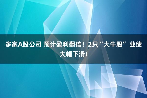 多家A股公司 預計盈利翻倍！2只“大牛股” 業(yè)績大幅下滑！