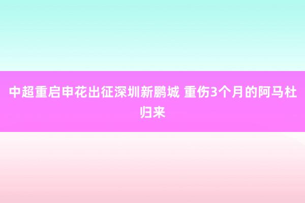 中超重啟申花出征深圳新鵬城 重傷3個月的阿馬杜歸來