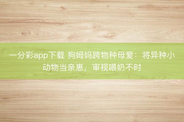 一分彩app下載 狗姆媽跨物種母愛(ài)：將異種小動(dòng)物當(dāng)親崽，審視喂奶不時(shí)
