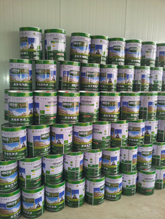 安徽地區(qū)防銹調(diào)合漆 效果圖、產(chǎn)品圖、型號圖與工程應(yīng)用全覽