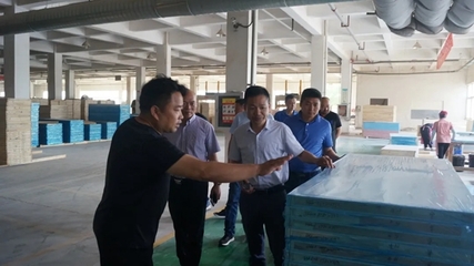 安徽省工商聯與建材商會領導蒞臨林邦門業考察指導，共促安徽建材行業高質量發展